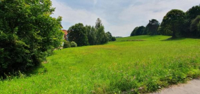 D und R Schwesternherz